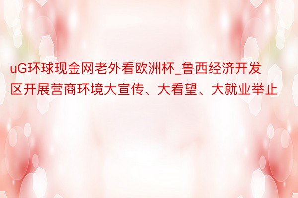 uG环球现金网老外看欧洲杯_鲁西经济开发区开展营商环境大宣传、大看望、大就业举止