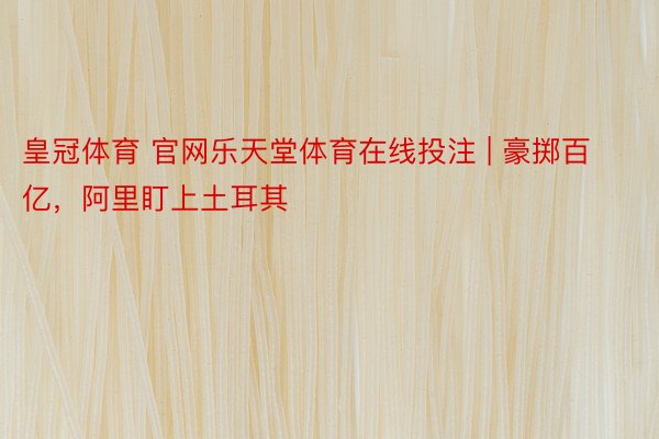 皇冠体育 官网乐天堂体育在线投注 | 豪掷百亿，阿里盯上土耳其